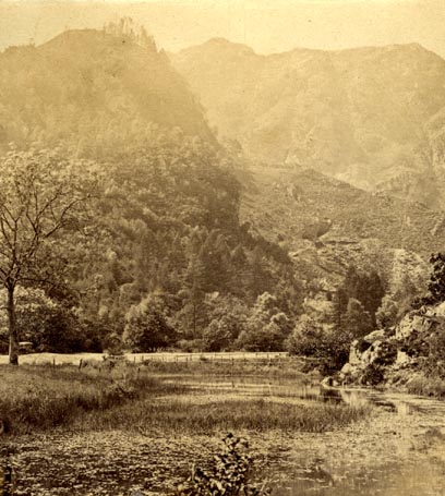 the image acts as a back button