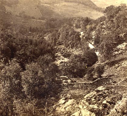 the image acts as a back button