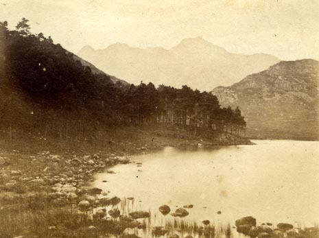 the image acts as a back button