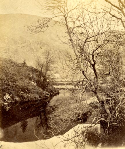 the image acts as a back button