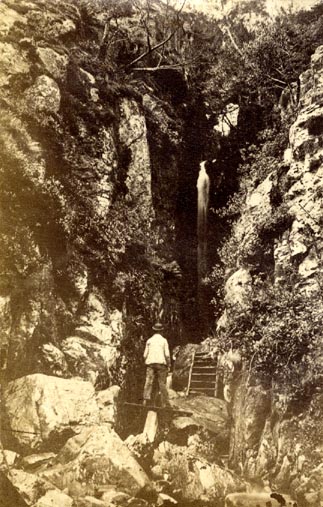 the image acts as a back button