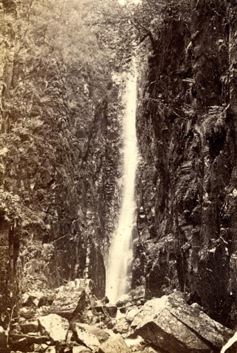 the image acts as a back button