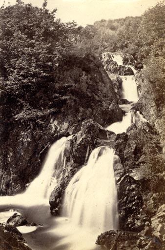 the image acts as a back button