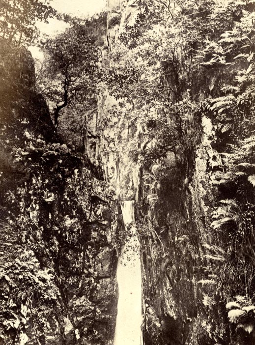 the image acts as a back button