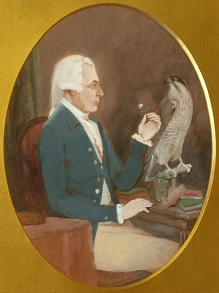 the image acts as a back button