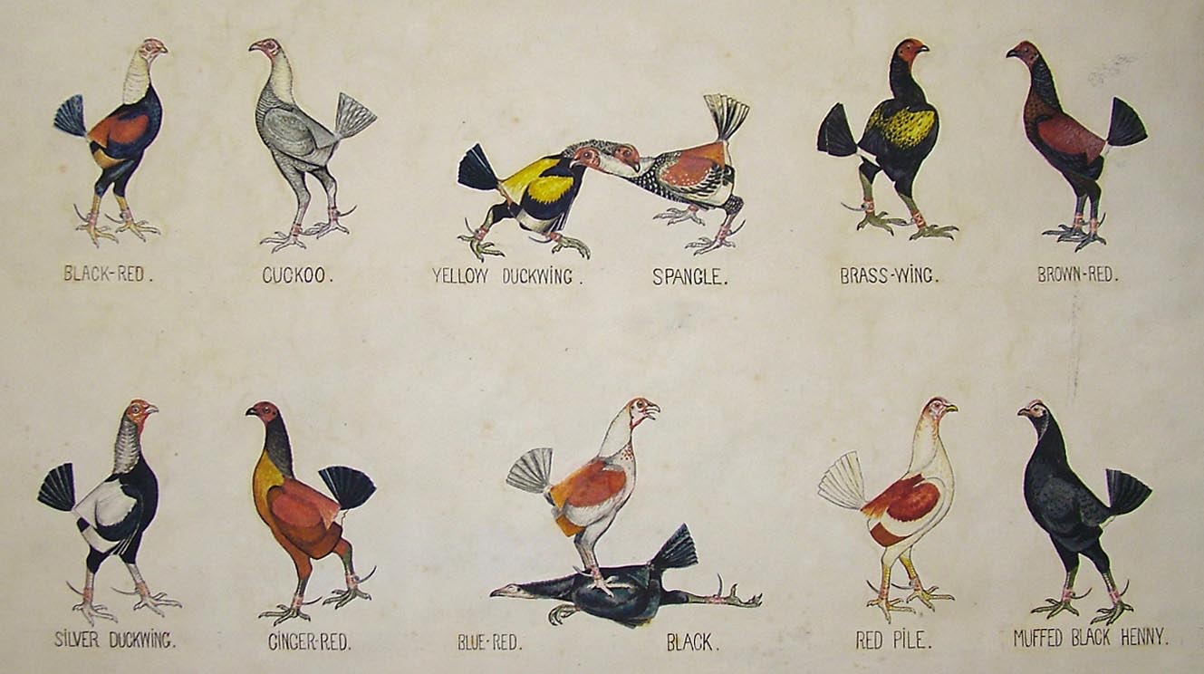 the image acts as a back button