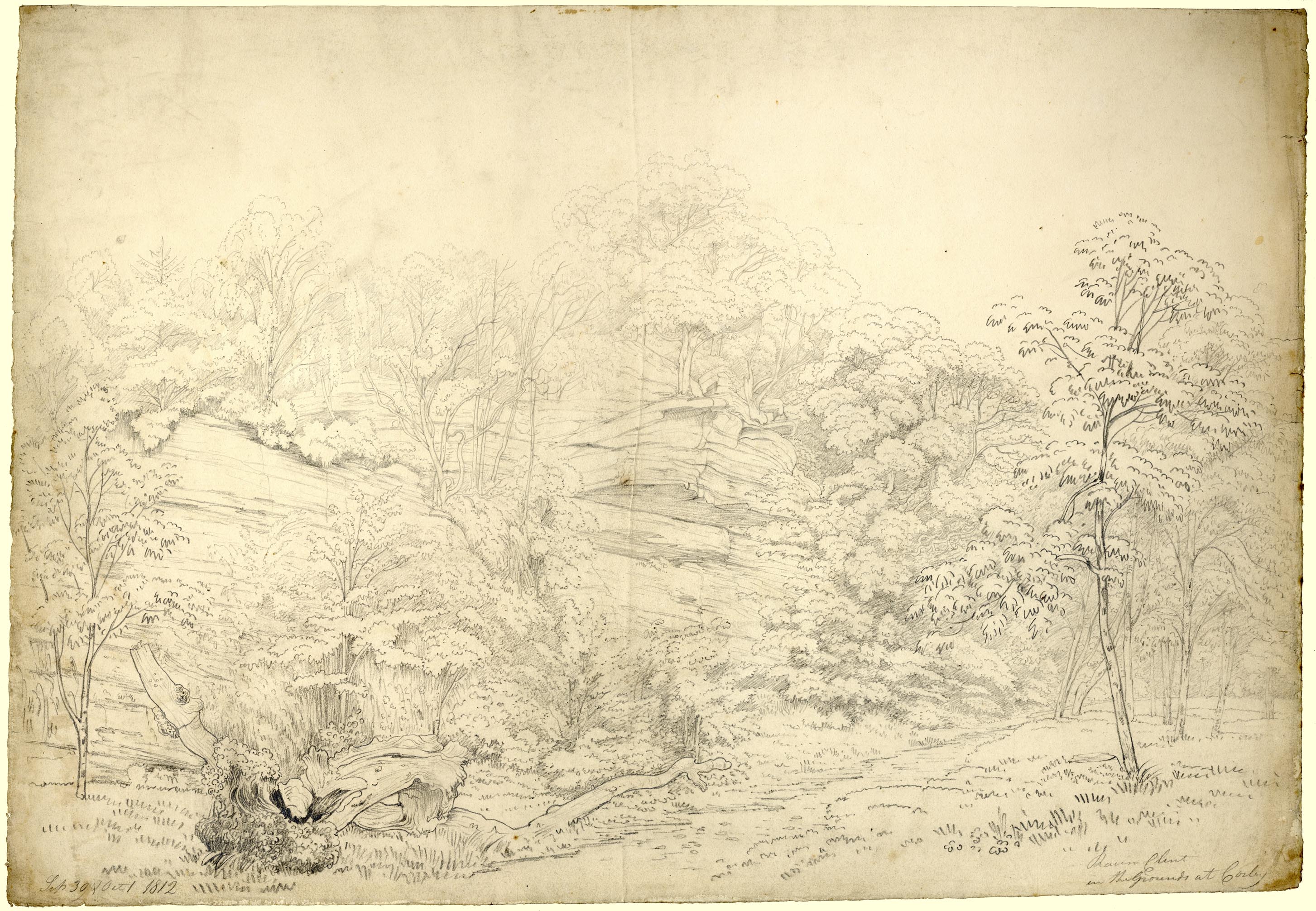 the image acts as a back button