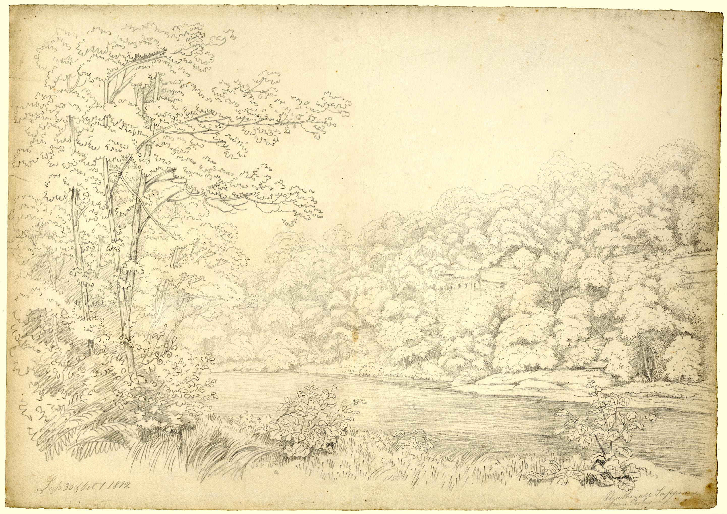 the image acts as a back button