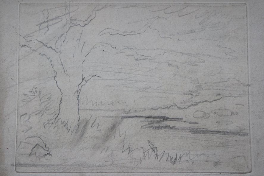 the image acts as a back button