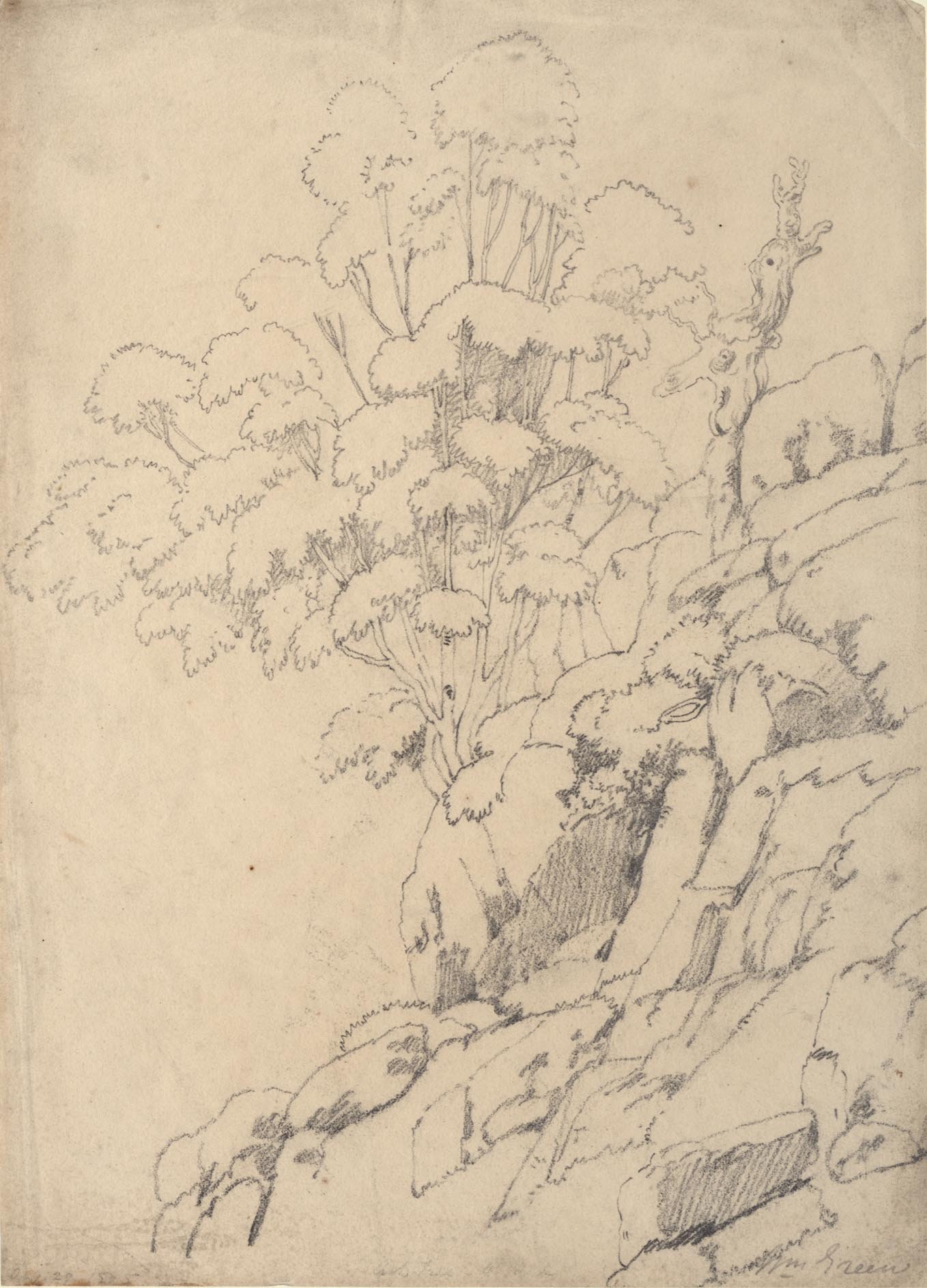 the image acts as a back button