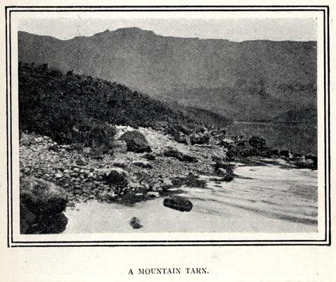 the image acts as a back button