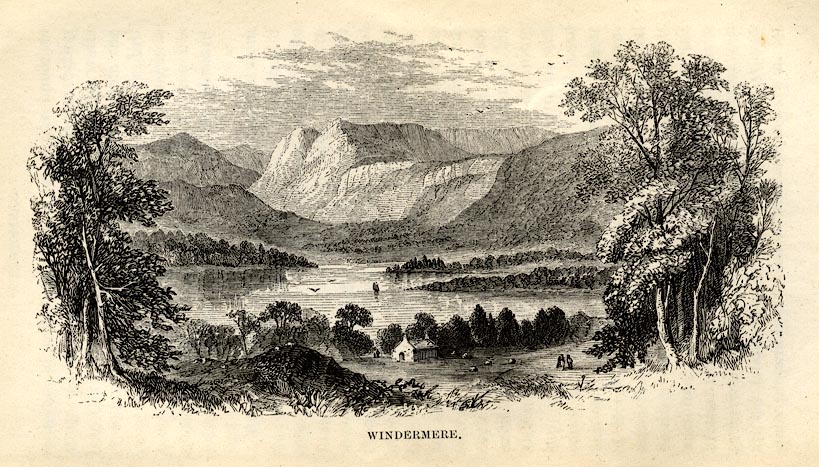 the image acts as a back button