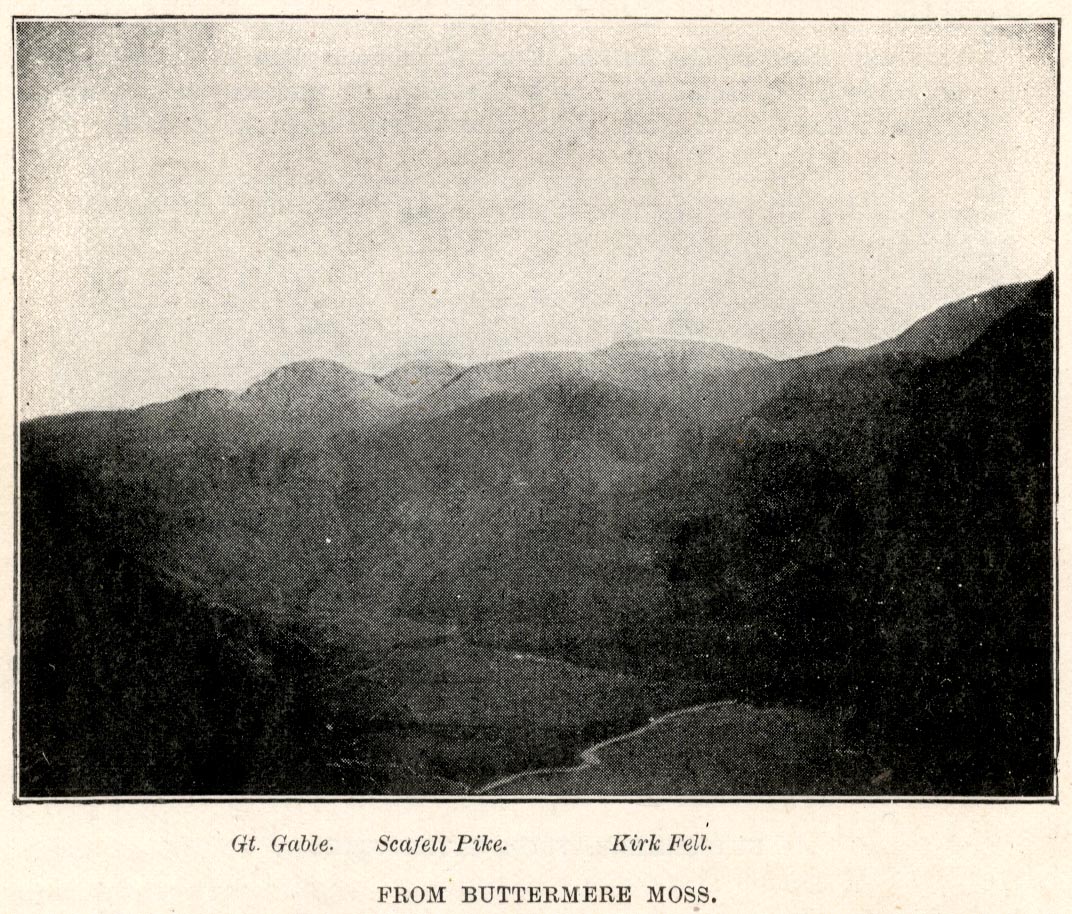 the image acts as a back button