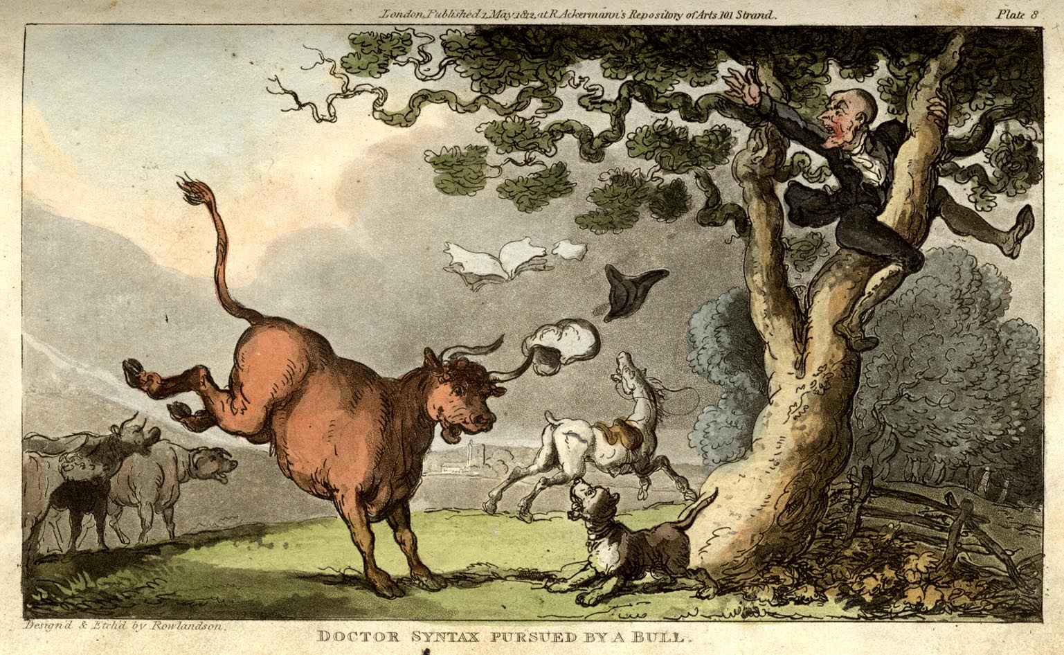 the image acts as a back button