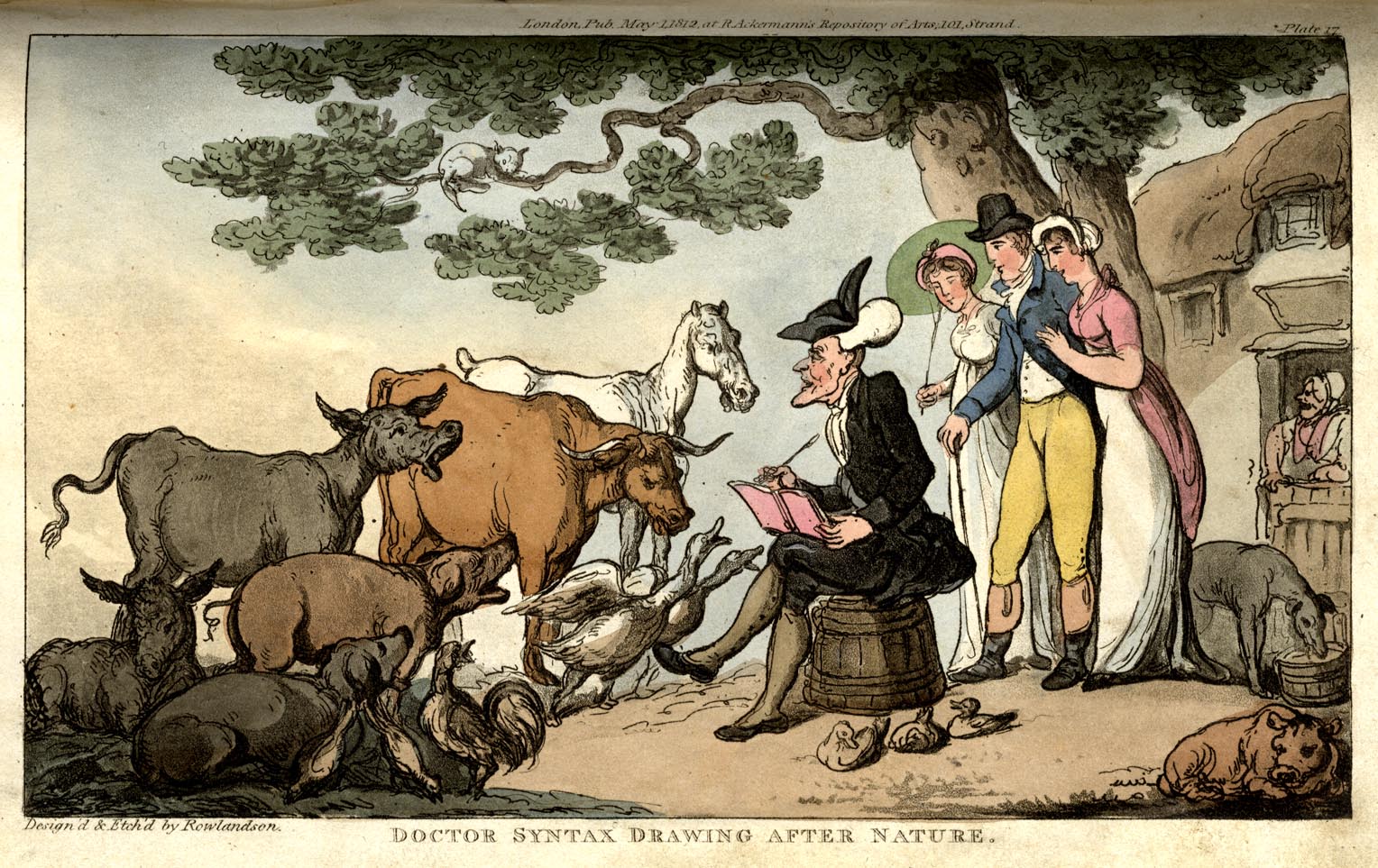 the image acts as a back button