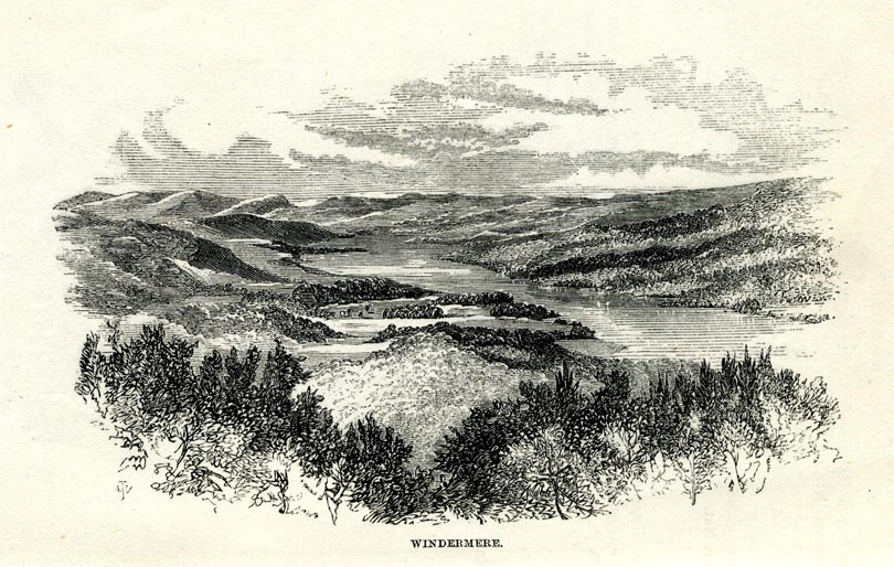 the image acts as a back button