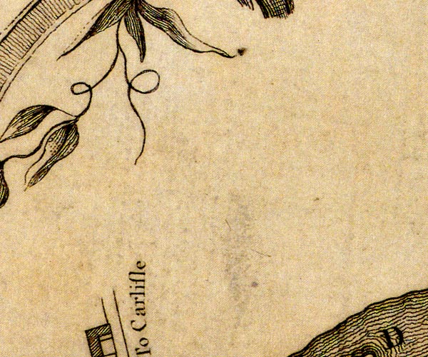 Donald 1774
