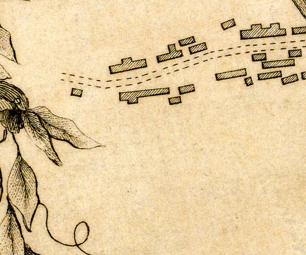 Donald 1774