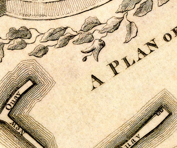Donald 1774