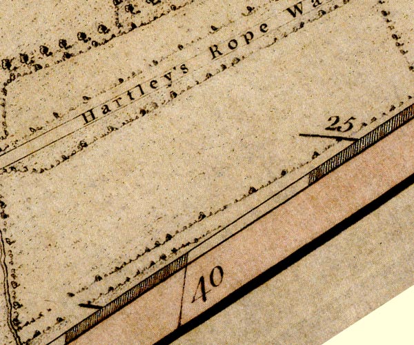 Donald 1774