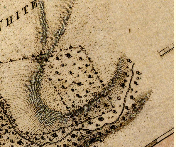 Donald 1774
