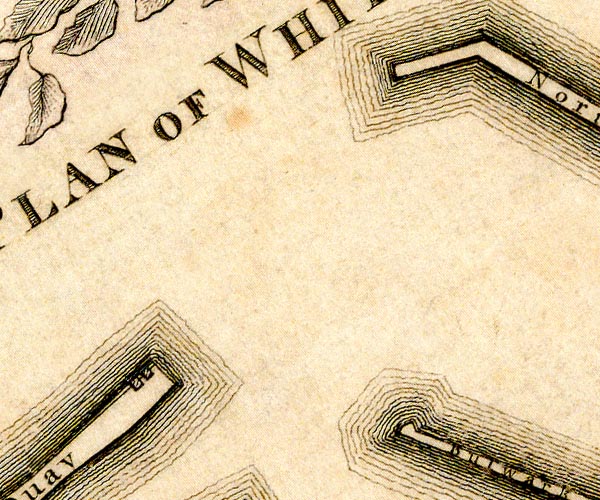 Donald 1774