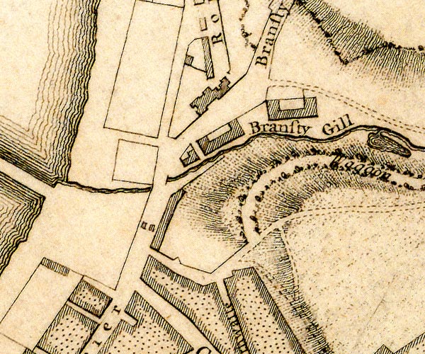 Donald 1774