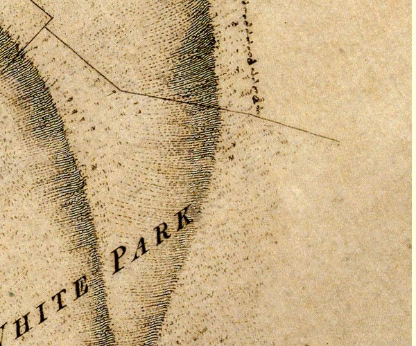 Donald 1774