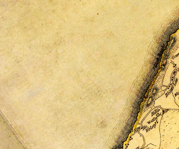 Donald 1774
