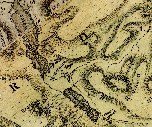 Donald 1774