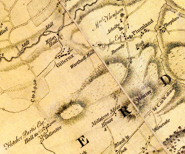 Donald 1774