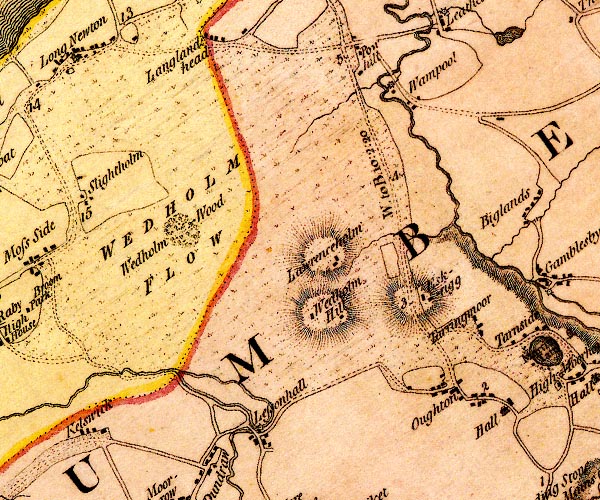 Donald 1774