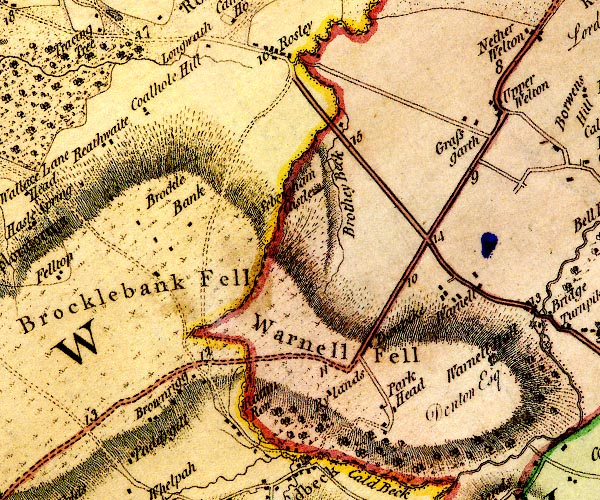 Donald 1774
