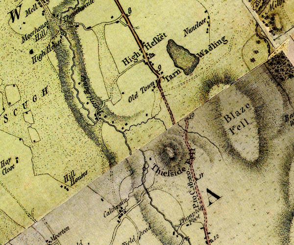 Donald 1774
