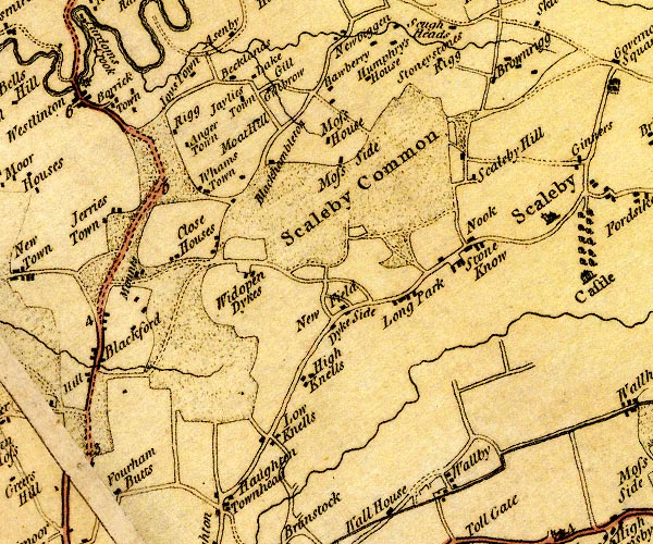 Donald 1774