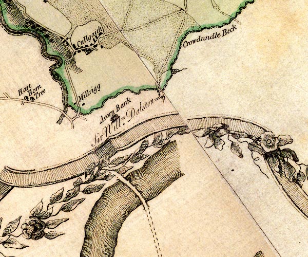 Donald 1774