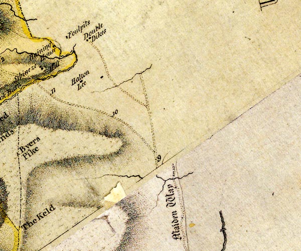 Donald 1774