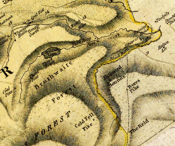 Donald 1774