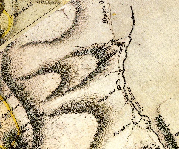 Donald 1774