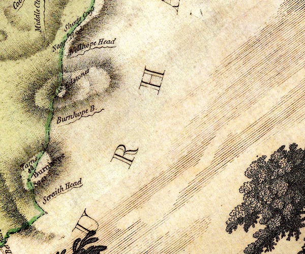 Donald 1774