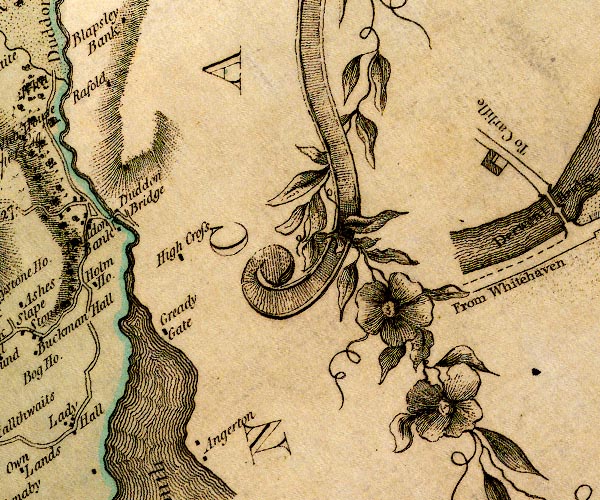 Donald 1774