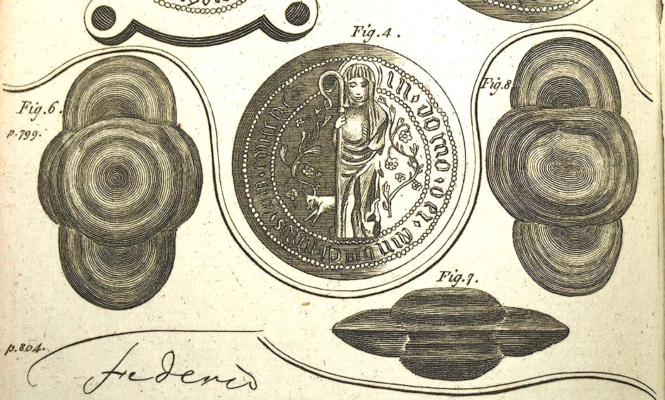 large image; back button