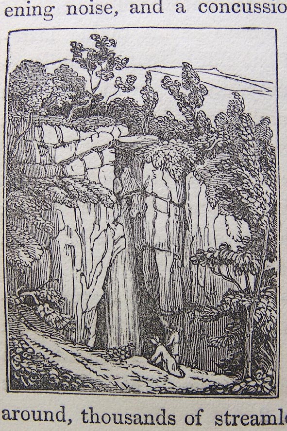 large image; back button