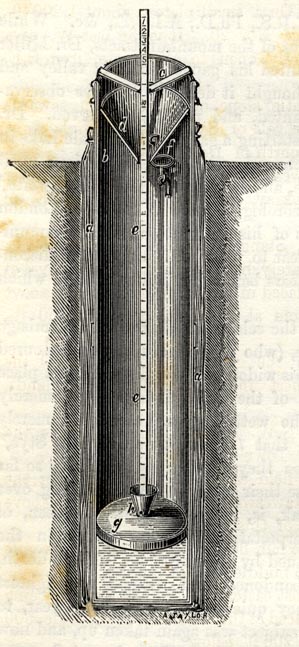 large image; back button