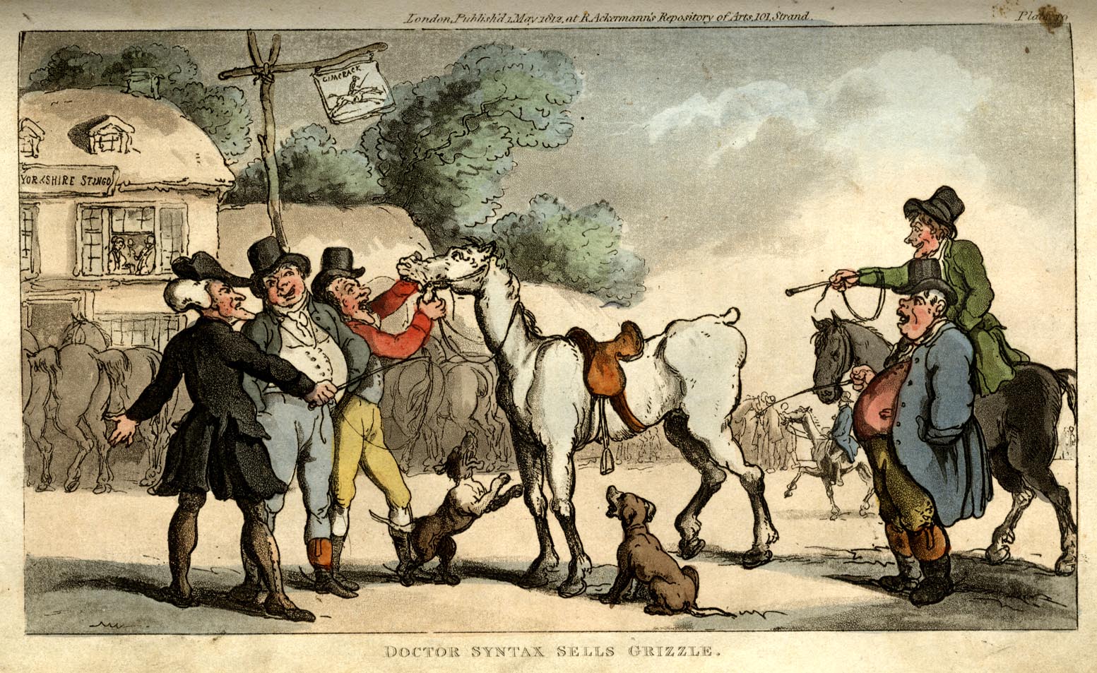 large image; back button