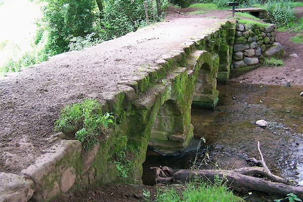 photograph