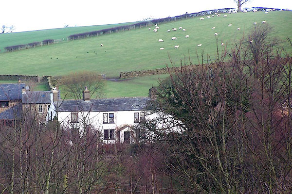 photograph