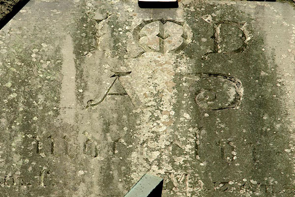 photograph