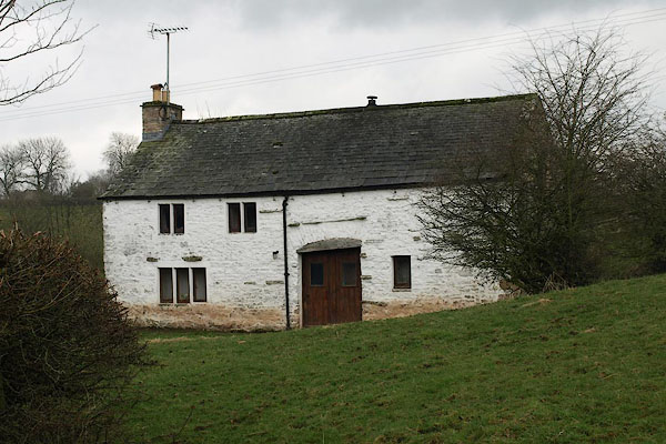 photograph