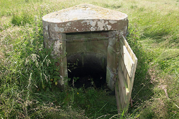 photograph